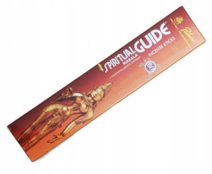 Kadzidełka indyjskie Spiritual Guide 15g Padmini