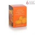 Świeca z drewnianym knotem Pumpkin Spice 150g