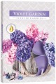 Podgrzewacze zapachowe Fioletowy Ogród 6szt