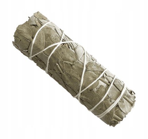 Biała szałwia z eukaliptusem – pęczek 25g | Terra