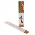Kadzidełka Golden Ancient Kopal Biała Szałwia 15g