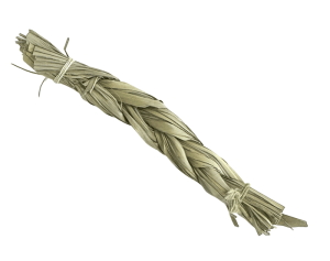 Słodka trawa pleciona - wiązka 10cm | Terra 