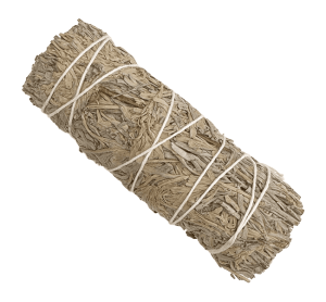 Niebieska Szałwia - pęczek 25g | Terra 