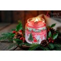 cranberry-snow-with-lid-450-g (1).jpg