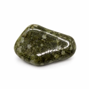 Kamień naturalny Epidot Snowflake 1szt