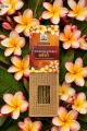 Naturalne Kadzidełka Namaste India - Frangipani 20g