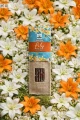 Naturalne Kadzidełka Namaste India - Lilia 20g